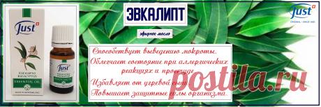 Натуральное эфирное масло Эвкалипт. Активизирует логическое мышление и заслуженно считается маслом математиков, экономистов и финансистов. Применение масла в детских учреждениях снизит заболеваемость простудными заболеваниями и поспособствует успеваемости. Мощный антисептик, иммуномодулятор, ключ к здоровью и красоте