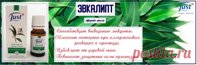 Натуральное эфирное масло Эвкалипт. Активизирует логическое мышление и заслуженно считается маслом математиков, экономистов и финансистов. Применение масла в детских учреждениях снизит заболеваемость простудными заболеваниями и поспособствует успеваемости. Мощный антисептик, иммуномодулятор, ключ к здоровью и красоте
