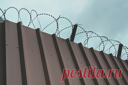 Белоруссия выдаст России лидера обманувшей сотни россиян банды мошенников. Белоруссия выдаст российским правоохранительным органам Алексея Левицкого — лидера банды, обокравшей сотни пенсионеров на 11 миллионов рублей. Преступники под видом проверок в жилых помещениях на предмет пожарной безопасности делали монтажные работы и устанавливали электрооборудование по завышенным ценам.