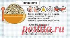 (89) Одноклассники