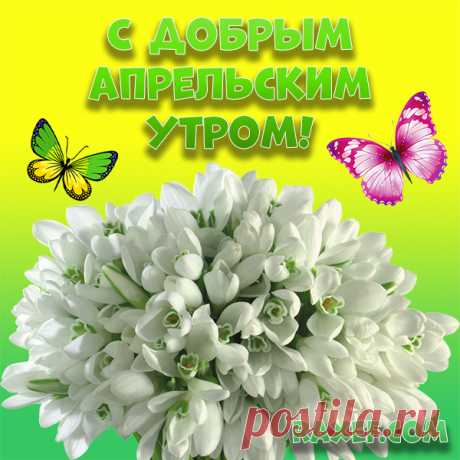 Картинки с добрым апрельским утром! Красивая картинка! Доброе апрельское утро... | Страница 2