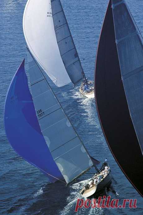 (308) Pinterest