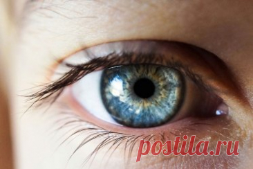 РАК ГЛАЗА: кто в группе риска и как предупредить потерю зрения?. Причины и группы риска рака глаз: от цвета кожи до вируса папилломы и бактерий от кошек.