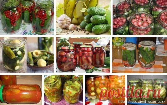 14 СУПЕР РЕЦЕПТОВ ОГУРЦОВ .