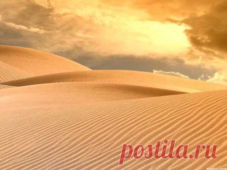 Оптимист и Пессимист