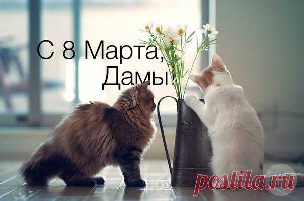 Милые женщины, поздравляем вас с самым нежным, светлым и прекрасным днём в году — 8 Марта! 😊🌷