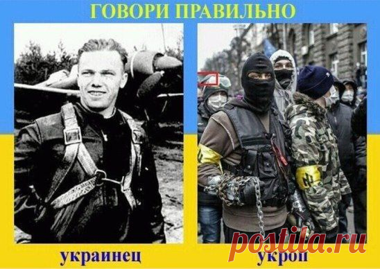 (60) Одноклассники