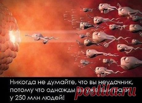 Юмор №1. Фото приколы, демотиваторы