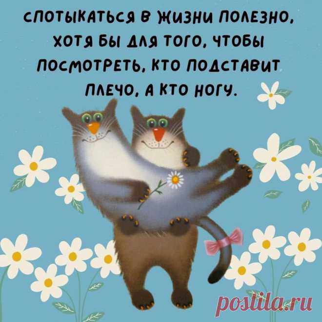 Выпуск №6419 - выпуск анекдотов сайта вокруг смеха