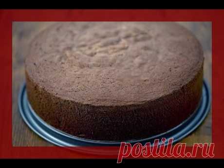 31.08.2016 - Hallo meine Lieben,wie schon im Video erwähnt wollte Ich euch eine andere Herstellungsweise von Biskuit zeigen. Dieses genaue Rezept ist für Schokoladenbisku...