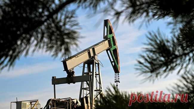 Минэкономразвития ожидает роста экспорта нефтепродуктов в 2026 году на 2,8%