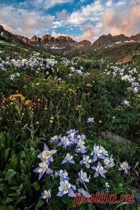 San Juan Mountains, Colorado, flickr от Guy Schmickle | Pinterest: инструмент для поиска и хранения интересных идей