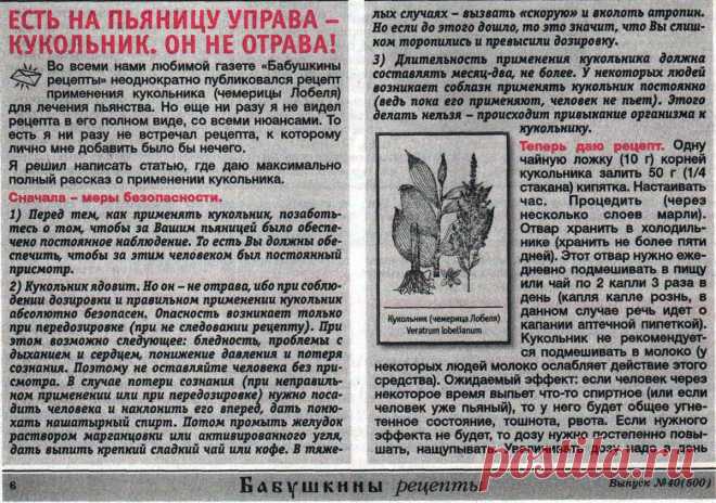 Купить кукольник (чемерица Лобеля) от алкоголизма - применение, отзывы