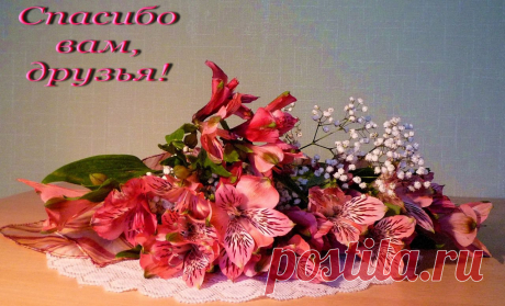 0_48562_117f60fd_XXXL.jpg (1280×775)КРАСОТА.СПАСИБО ПОДРУГА.