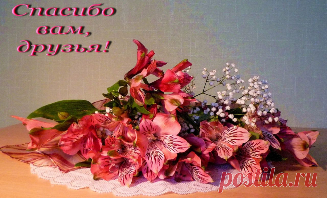 0_48562_117f60fd_XXXL.jpg (1280×775)КРАСОТА.СПАСИБО ПОДРУГА.