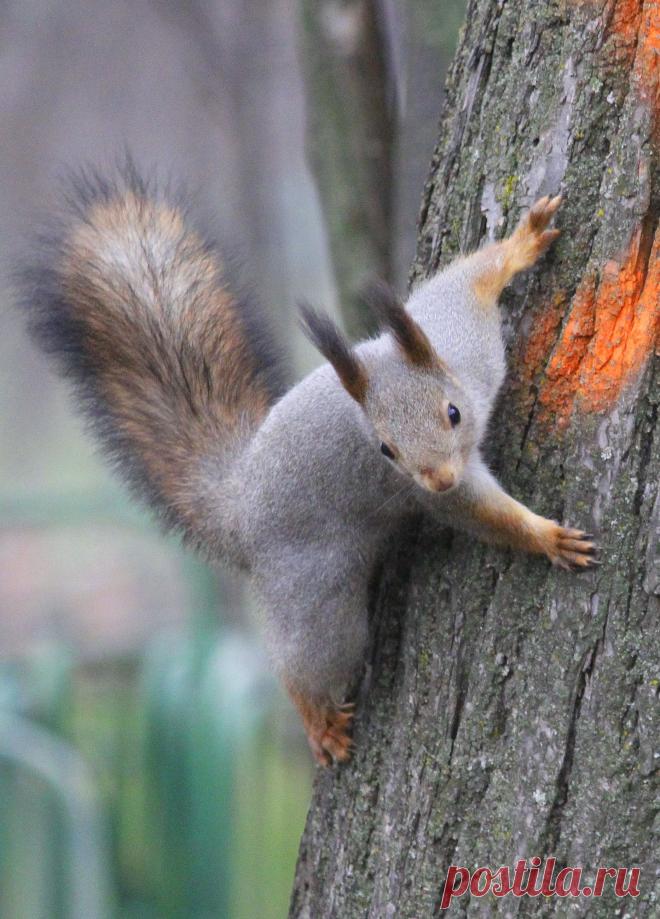 долго крутилась