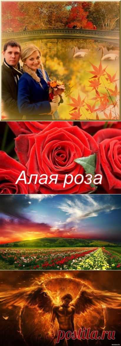 (52) Одноклассники
