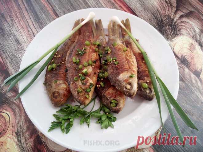 Фаршированные караси 

Фаршированные караси – вкусное и простое в приготовлении блюдо. Пошаговое приготовление и простой рецепт фаршированных карасей.
Караси фаршированные – вкусное и простое в приготовлении блюдо. Для не…