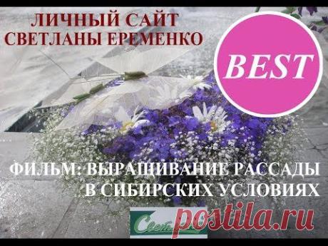 Выращивание рассады в Сибирских условиях С ЕРЕМЕНКО)