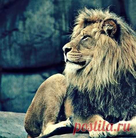 На Волнах Любви ♥ Цитаты Статусы
