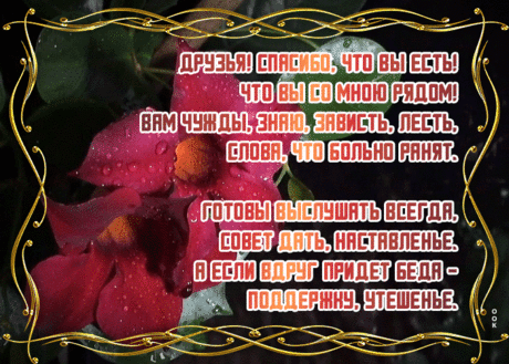 Картинка с красными цветами для друзей