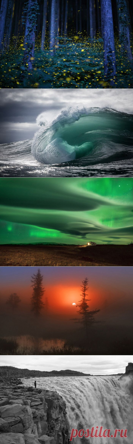 23 самых душевных фотографии, присланных на конкурс National Geographic 2015