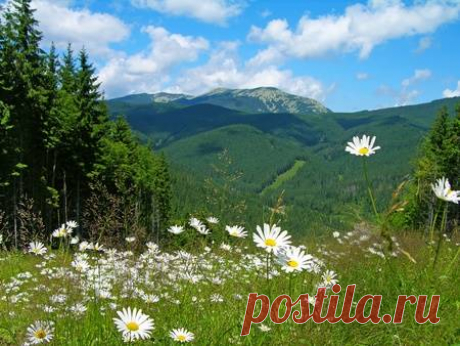 карпати фото