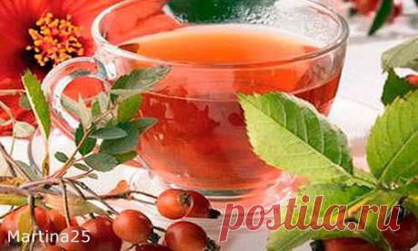 Дневник Martina25