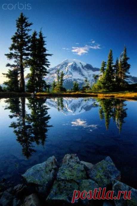 (35) ~ Mount Rainier National Park - Washington~ | I've Been Everywhere Man