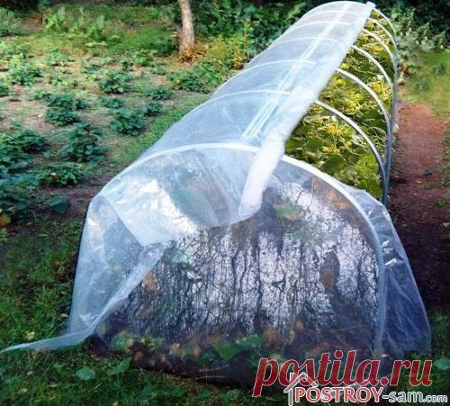 Парник «Огурчик» для выращивания рассады, овощей и даже цветов