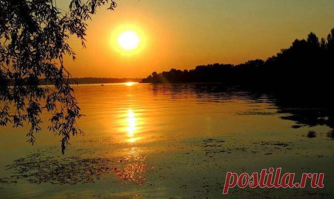 ФОТОМАСТЕРСКАЯ ПРИРОДЫ
Николай Тесля