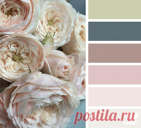 design seeds | color flora | for all who ♥ color