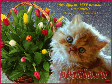 Ulyibnis-Ne-bud-pechalna-.gif (1024×768)