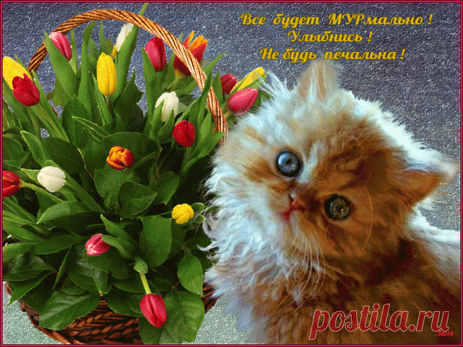 Ulyibnis-Ne-bud-pechalna-.gif (1024×768)