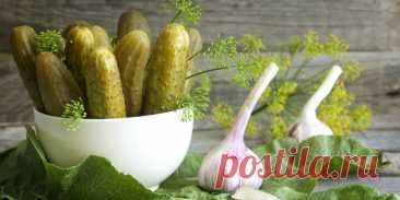 ВСЁ САМОЕ ВАЖНОЕ О ЗАСОЛКЕ ОГУРЦОВ + РЕЦЕПТЫ