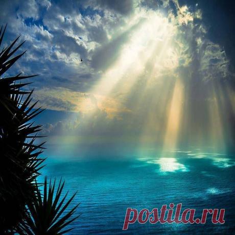 Pinterest: инструмент для поиска и хранения интересных идей