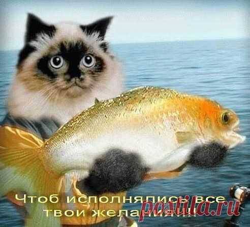 getImage (492×446)