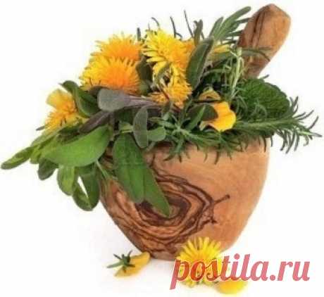 Диета и рецепты народной медицины при воспалении легких (пневмонии)