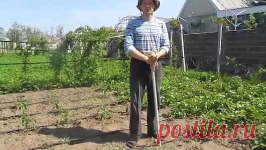 Как получить урожай