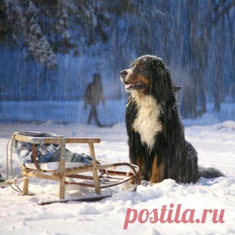 Новый год - самый душевный праздник / Всё самое лучшее из интернета