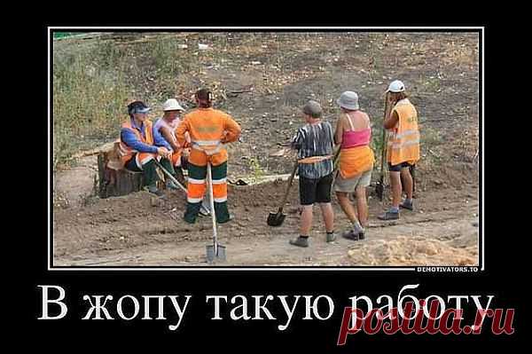 (75) Одноклассники