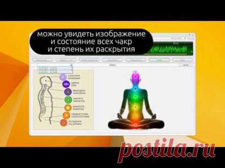 WEB Wellness как работать с LifeExpert