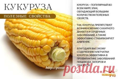 Польза от овощей.