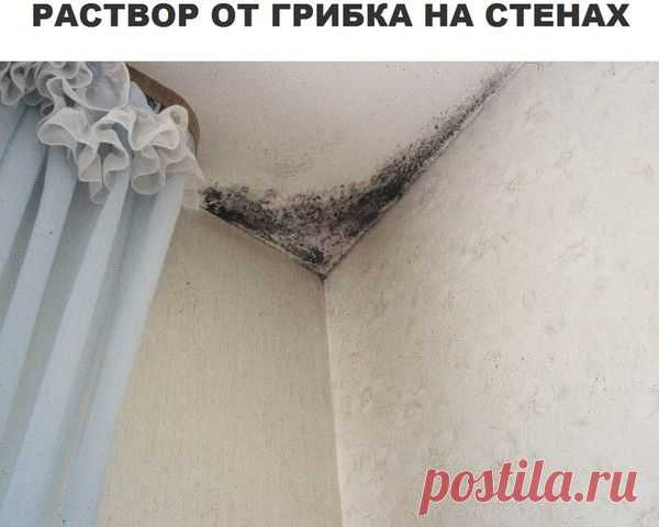 Борьба с грибком на стенах – еще одна тяжкая проблема в ремонте, но после обработки стен таким веществом, вы забудете, как выглядит грибок. Не забывайте проветривать свою квартиру во избежание подобных случаев.

В 5 л. воды нужно кинуть одну таблетку фурацилина, и после обработки вы даже не заметите появления грибка на стенах или потолке. Если ситуация осложняется уже присутствием плесени, тогда сокращайте пропорции и кидайте таблетку в 1 л воды.