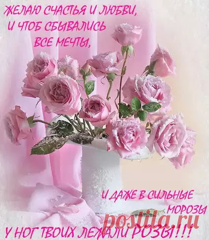 Я ВАМ ЖЕЛАЮ.......