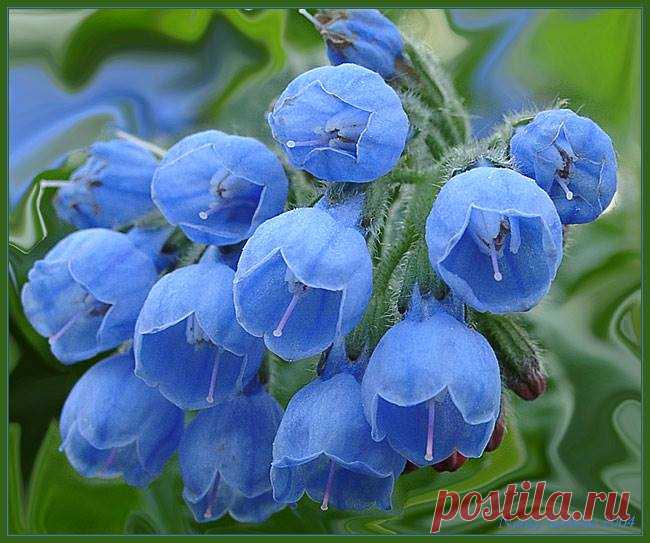 (97) Facebook