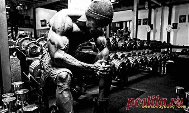 4 Причины Пить Гейнер (Для Роста Мышц) А Не Протеин | bestbodyblog.com