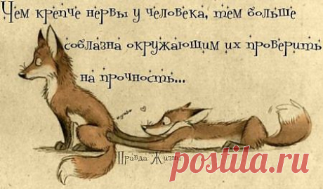 Вредные мысли