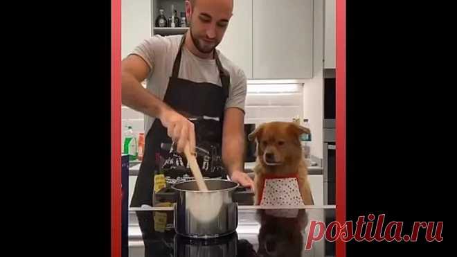 Вот все, все нужно контролировать!🤣🤣🤣👍👍👍😍❤❤❤