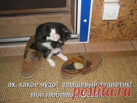 Интересные новости